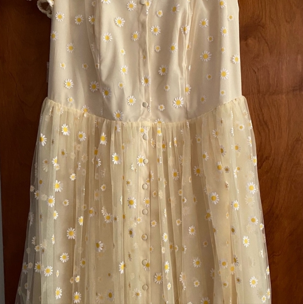 Unique Vintage daisy print dress